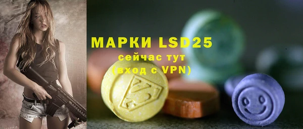 стаф Алзамай