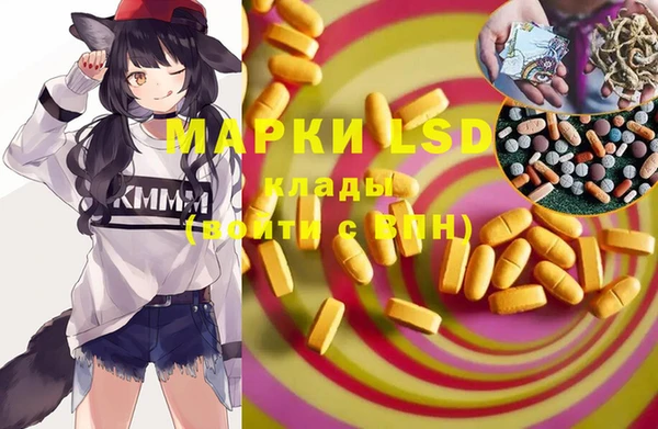 стаф Алзамай