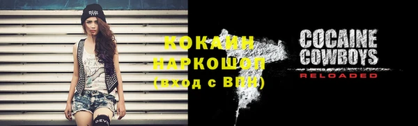 гашик Алексеевка