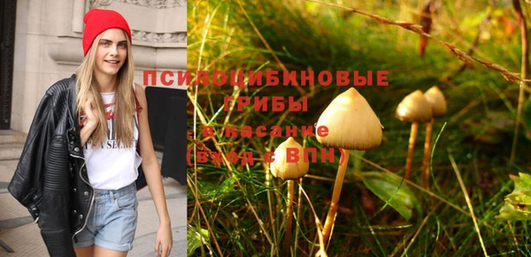 гашик Алексеевка