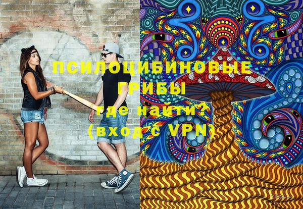 гашик Алексеевка