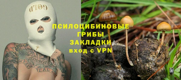 стаф Алзамай