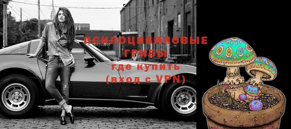 стаф Алзамай