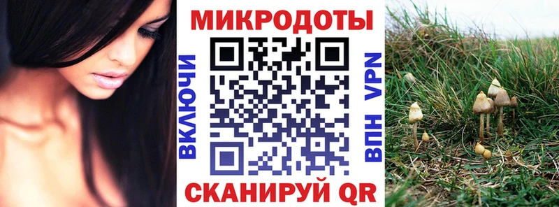 сколько стоит  Ужур  Псилоцибиновые грибы MAGIC MUSHROOMS 