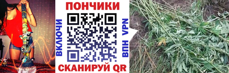 Бошки Шишки Bruce Banner  купить наркоту  Ужур 